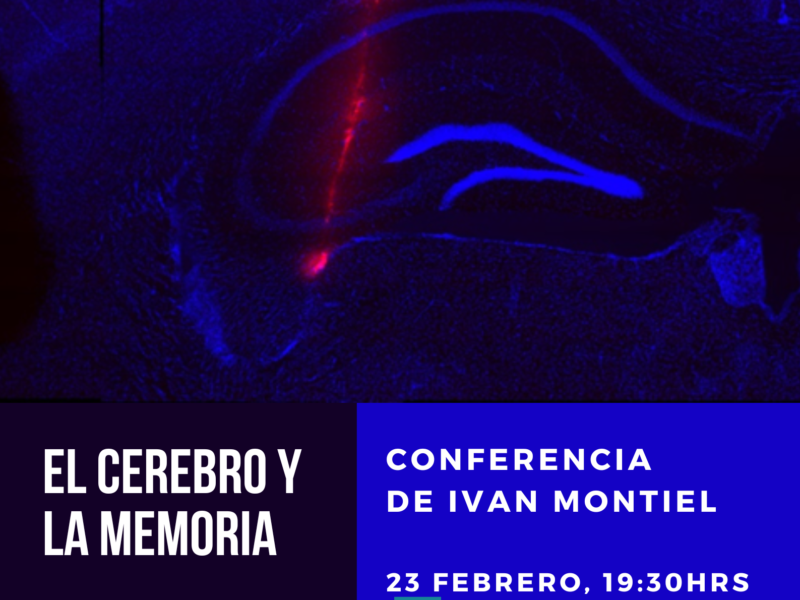 Conférence « El cerebro y la memoria », jeudi 23 février – 19h30